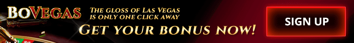 Bovegas Casino online